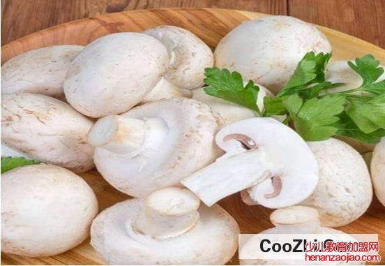 鲜口蘑正确的保存方法是怎么样的