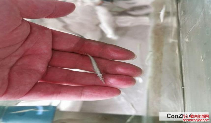 水银针打破了怎么清理比较好