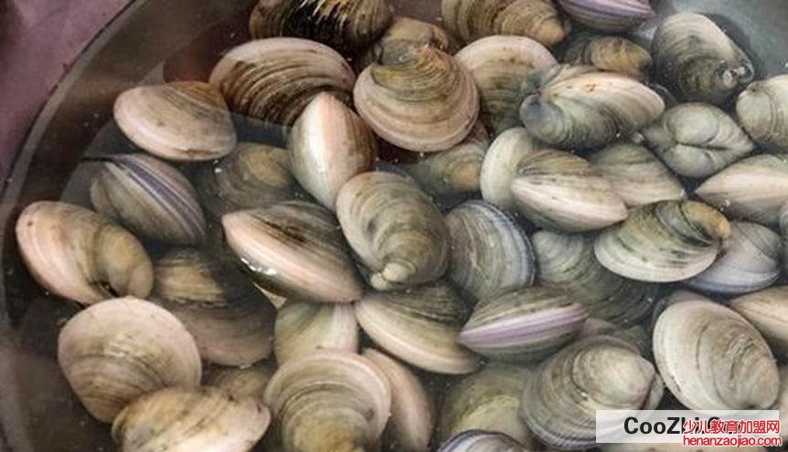 文蛤怎么清洗里面的沙子合适