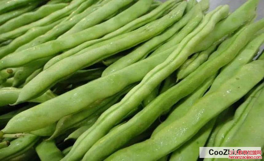 四季豆长期储存方法有哪些