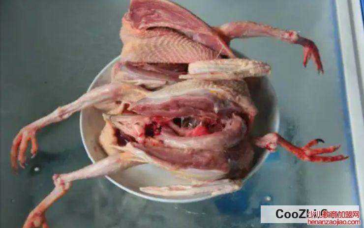 什么人不可以吃鸽子