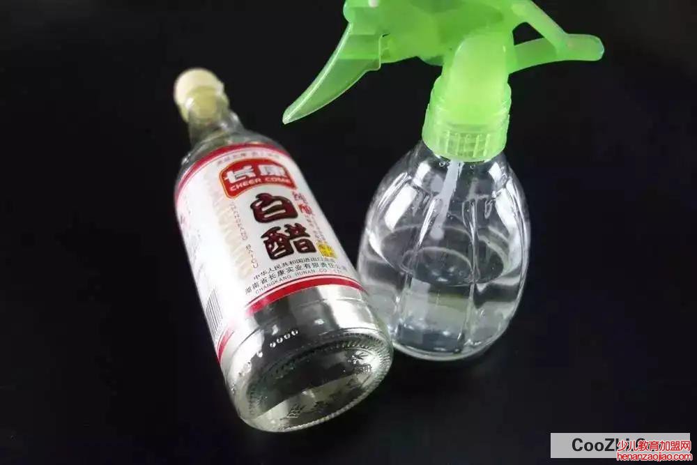 如何自制去油污清洁剂