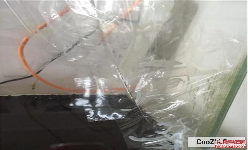 鱼缸突然爆裂是什么原因