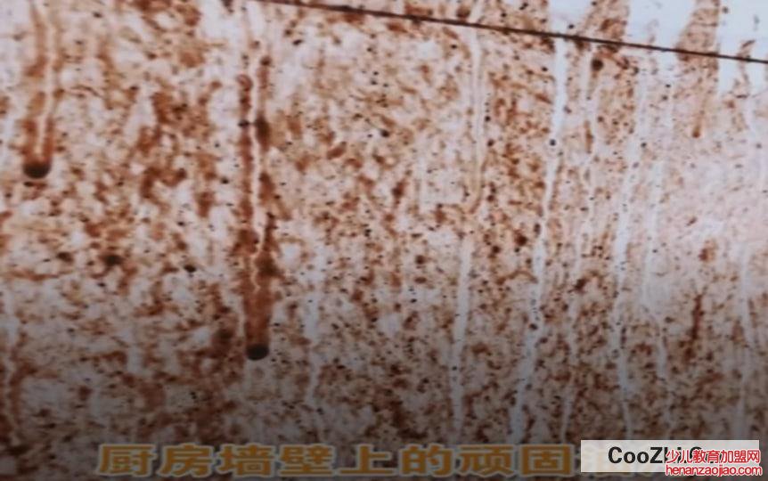 厨房陈年顽固油渍清洗小妙招有哪些