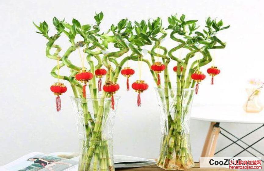 送好友花什么花最合适呢