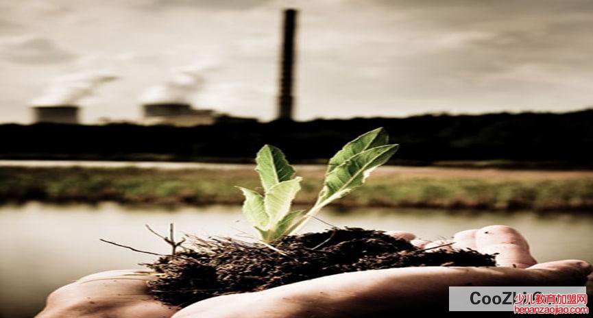 植物吸收污染物的原理是怎么样的