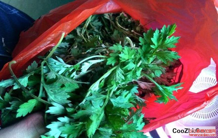 刚割的艾草怎么保存