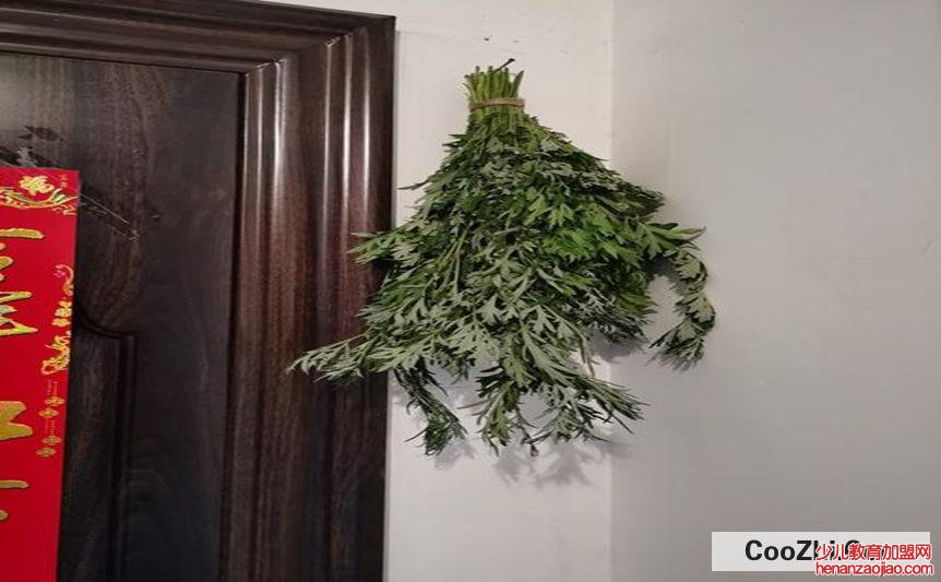 刚割的艾草怎么保存
