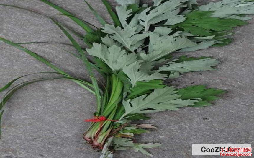 刚割的艾草怎么保存