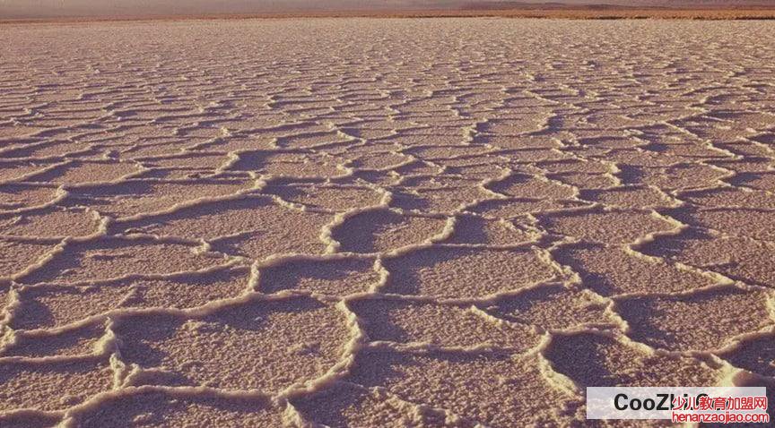 沙漠缺水怎么办