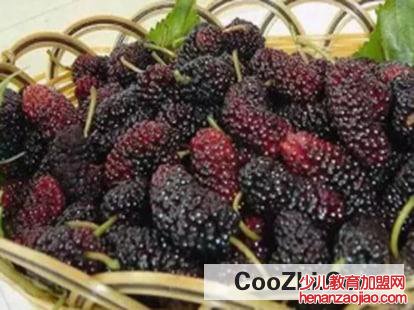 桑葚长白毛了能吃吗