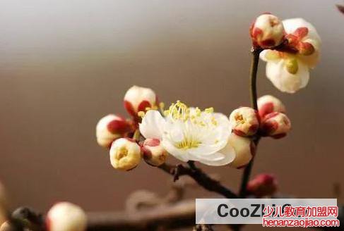 躲春失败化解方法