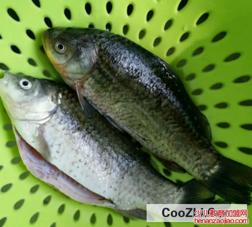 鱼的土腥味该怎么去除