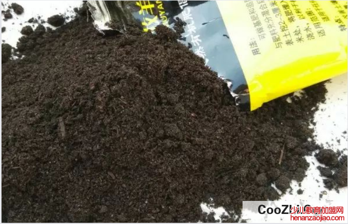 肥料倒多了怎么办