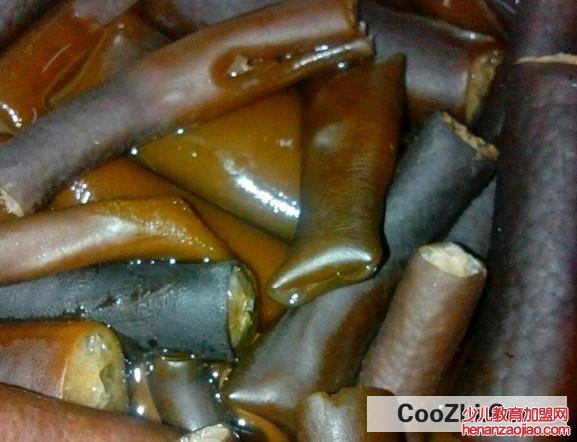 植物海笋和动物海笋的区别