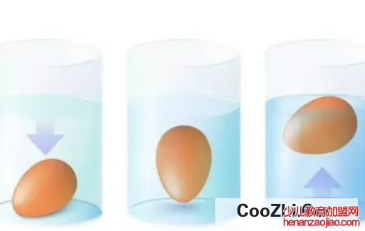 鸡蛋为何能在盐水中漂浮起来