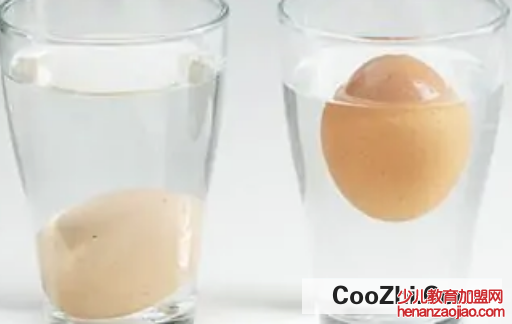 鸡蛋为何能在盐水中漂浮起来