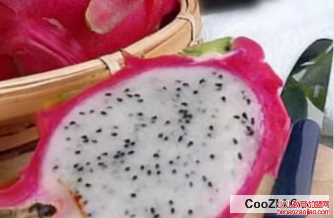 火龙果里面的籽是不是黑芝麻
