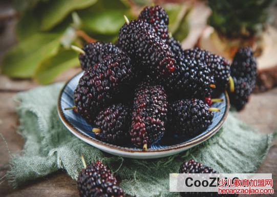 桑葚怎样清洗才可以生吃