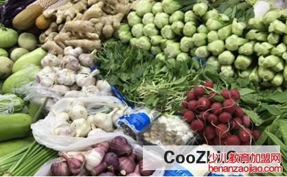 如何让蔬菜放得久