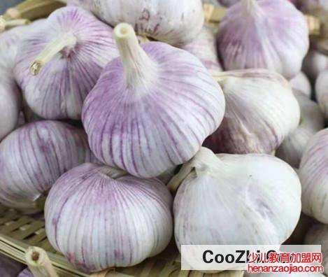 如何保存大蒜头不会发芽