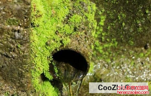 水管中有绿苔该如何清除