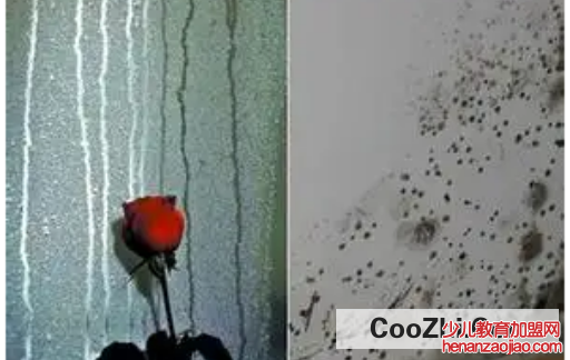 怎样预防回南天屋内潮湿