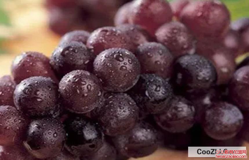 什么水果有解酒效果