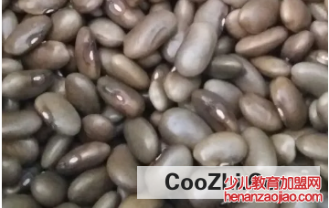 豇豆种子催熟有哪些方法