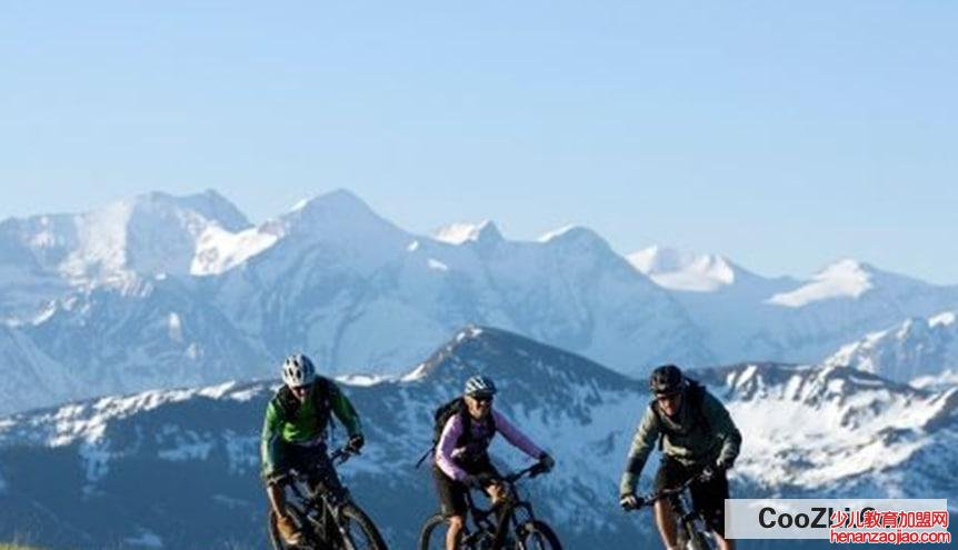 如何让大脑高效运转，变聪明呢？