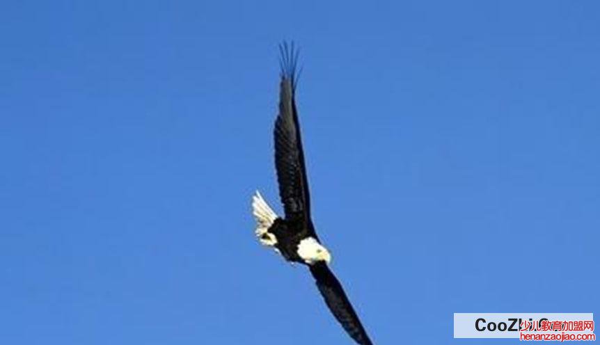 如何让自己变得善于为人处事？