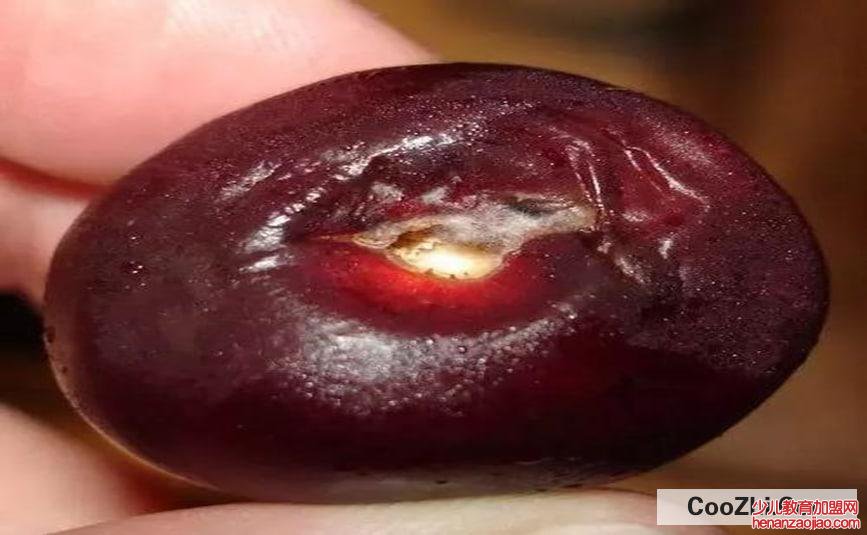 烂了一点点的水果，还能吃吗？