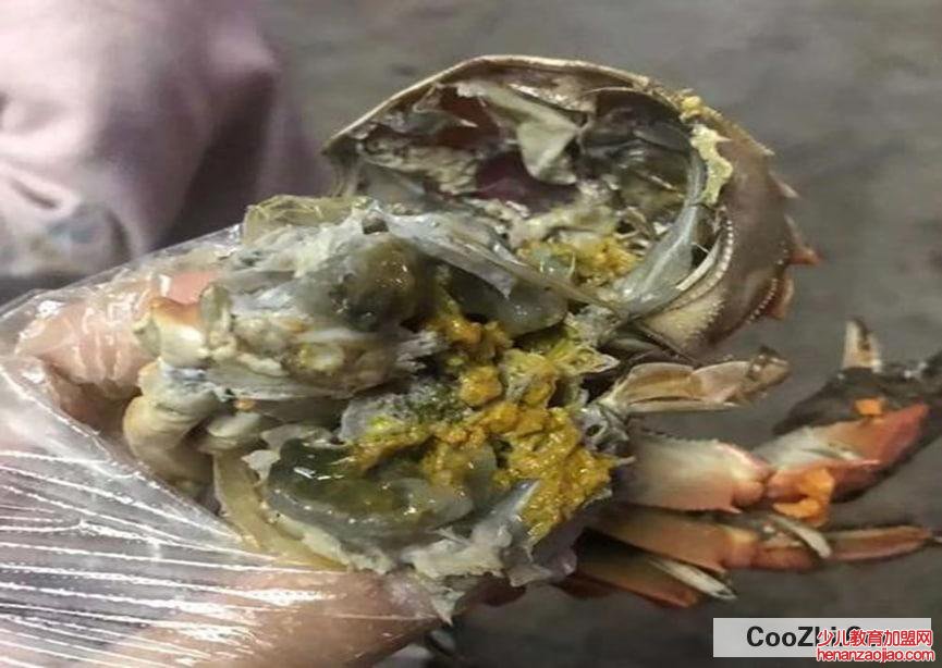 螃蟹死了多久不能吃了?