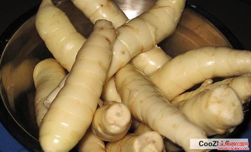 玉竹的功效与作用