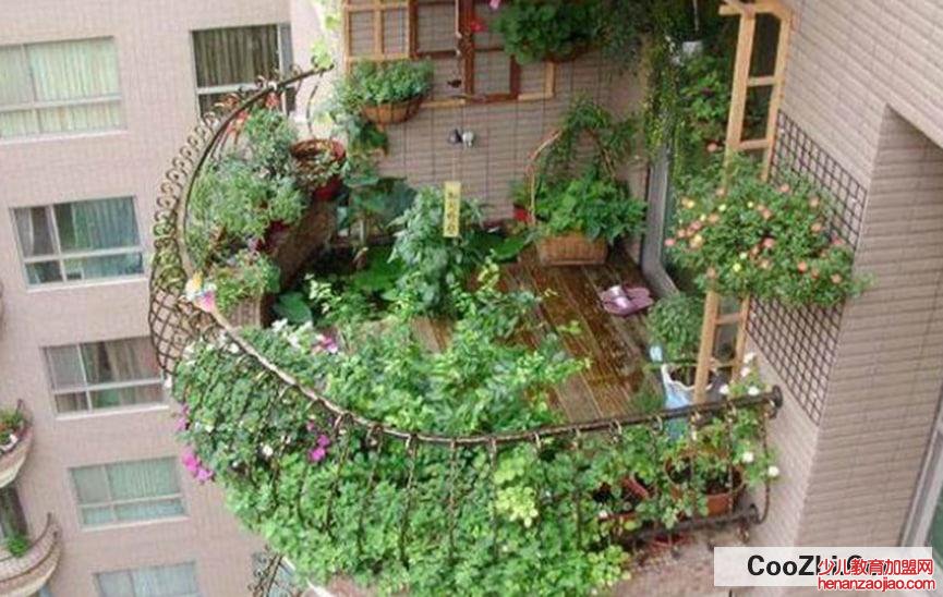 如何在小阳台种植盆栽