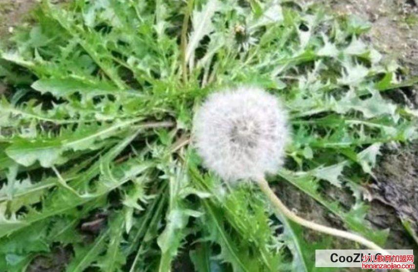 农历三月三日有什么禁忌