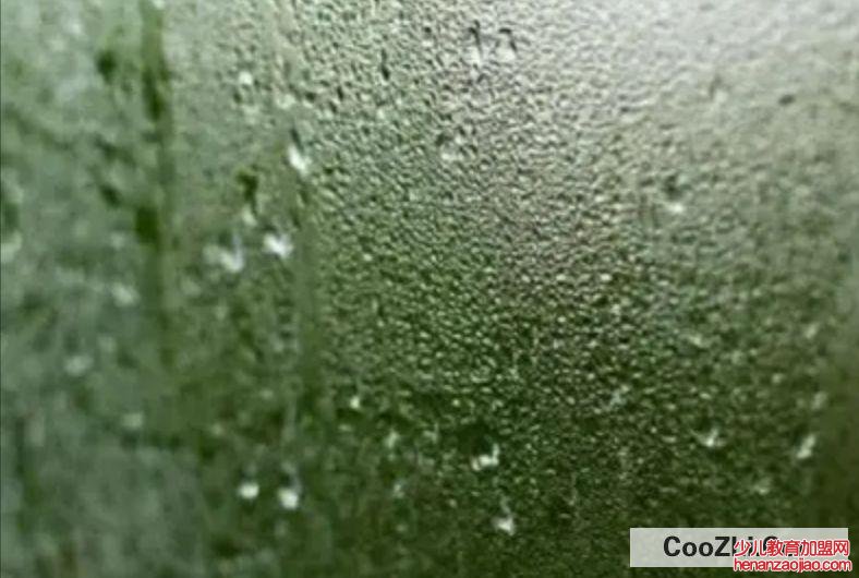 冬天窗户玻璃有水蒸气怎么办