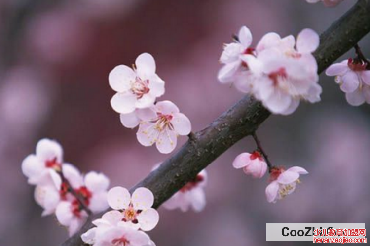 躲春失败如何补救