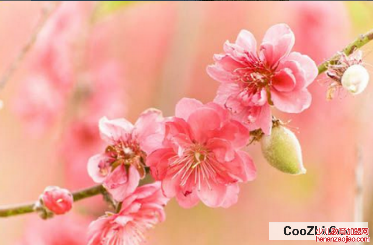 躲春失败如何补救