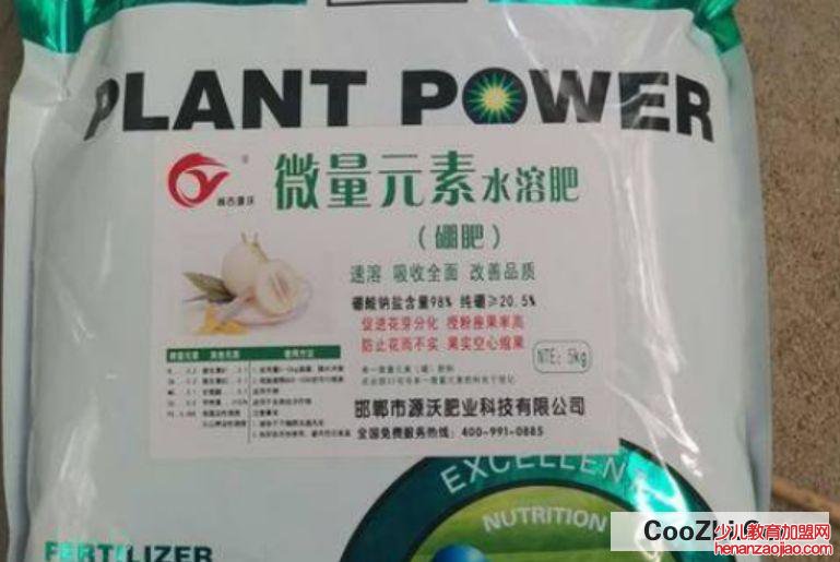 硼肥在果树使用禁忌