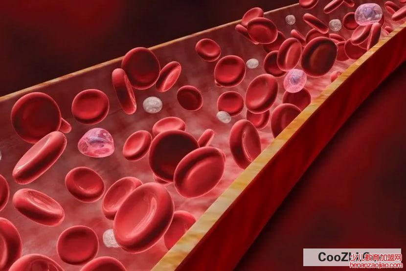 胆固醇偏高对身体有什么影响