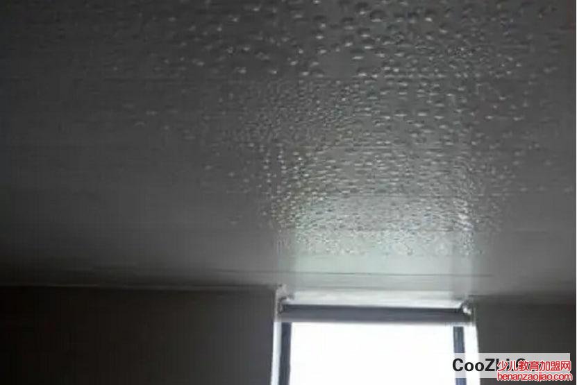 潮湿天气家里如何除湿