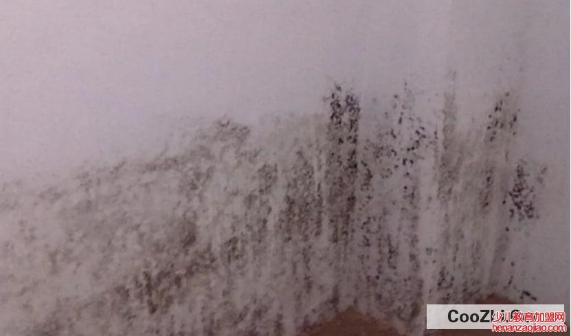 房间墙壁发霉怎么办