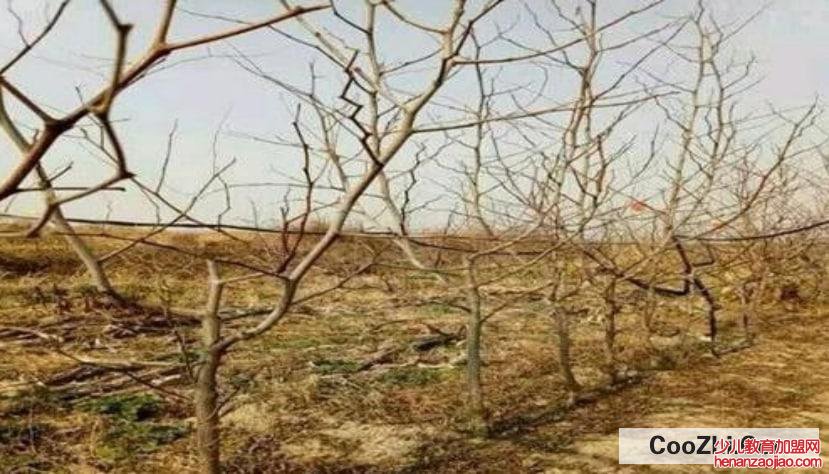 怎么防治牛皮癣扩散