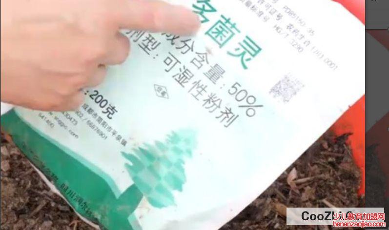 山上取的腐叶土回来怎么处理