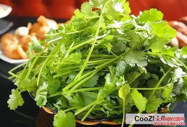 火锅中的素菜之王是什么?