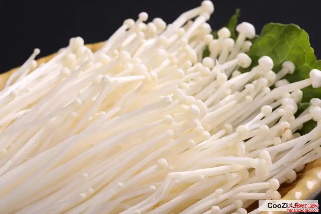 火锅中的素菜之王是什么?