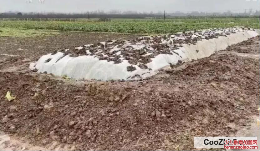 “土坑酸菜”有哪些危害？