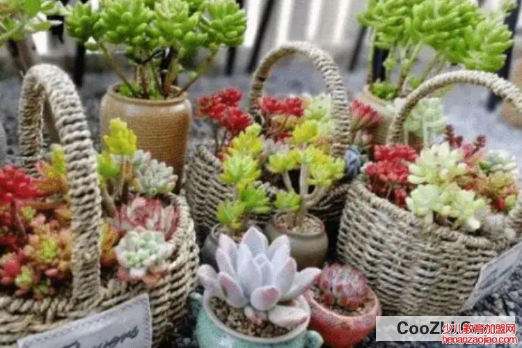 疫情不能出门,应该如何充实自己的生活?