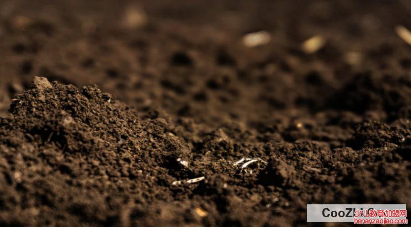 把土壤变成酸性最简单方法
